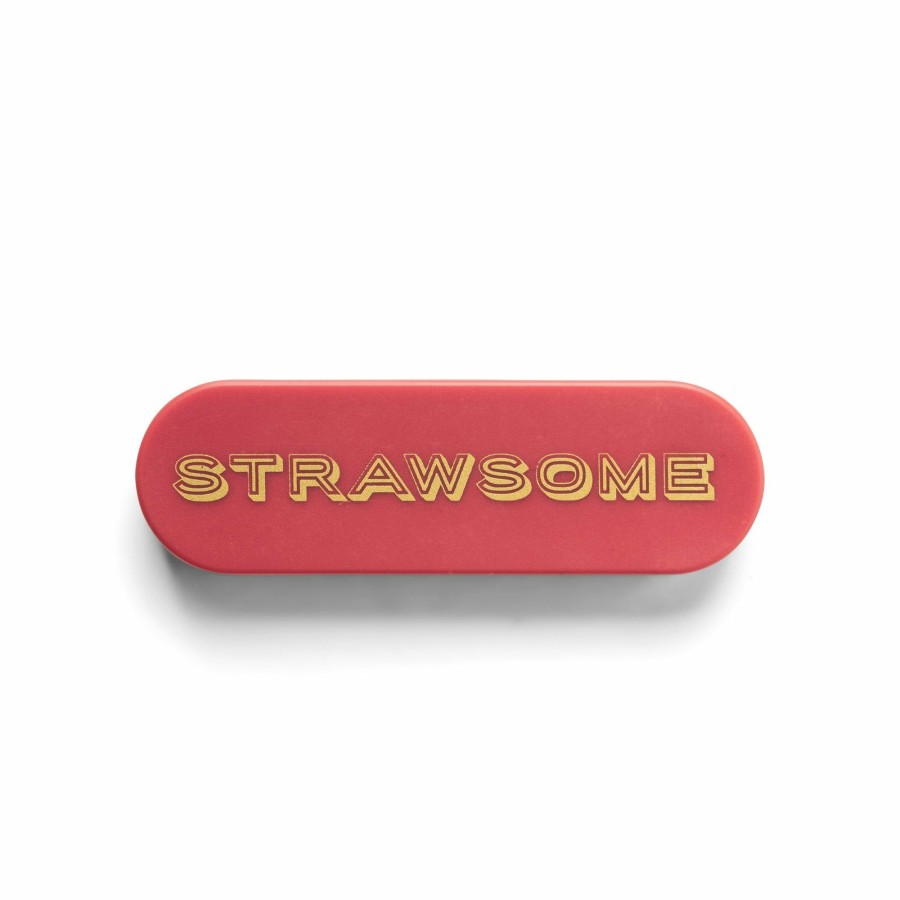 Reusable DesignWorks Ink | Portable Straw - Strawsome